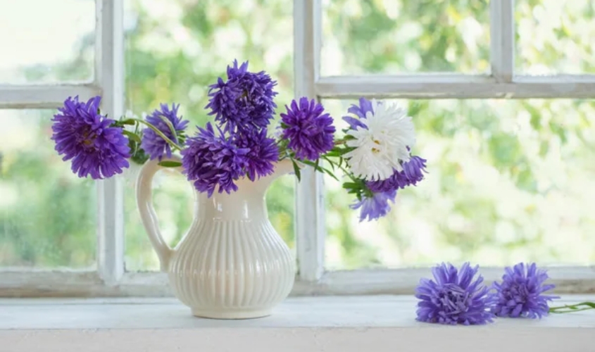 Thường xuyên thay nước để hoa tươi lâu hơn