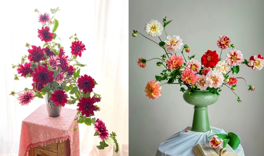 Cách cắm hoa thược dược trong bình cổ cao sang trọng