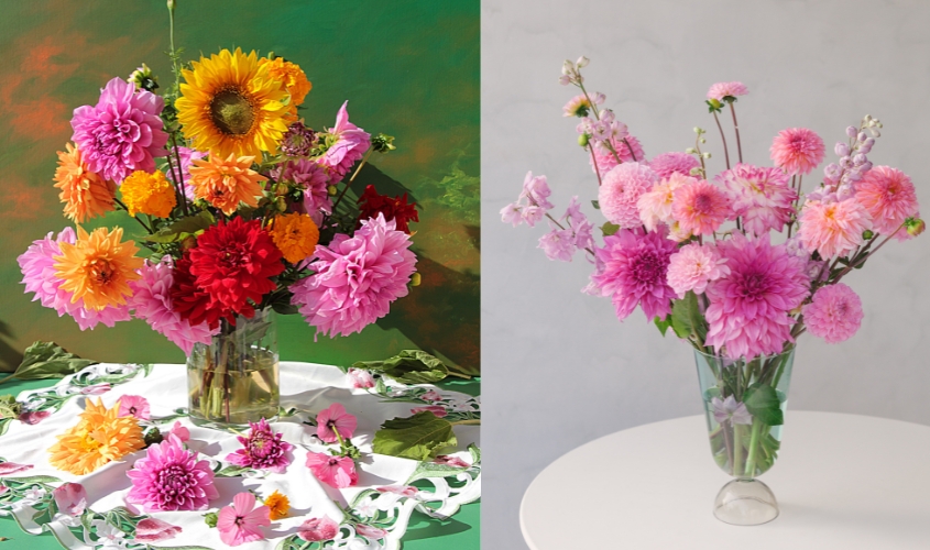 Để hoa thược dược được tươi và nở lâu, bạn nên ngâm hoa khoảng 30 phút trước khi cắm