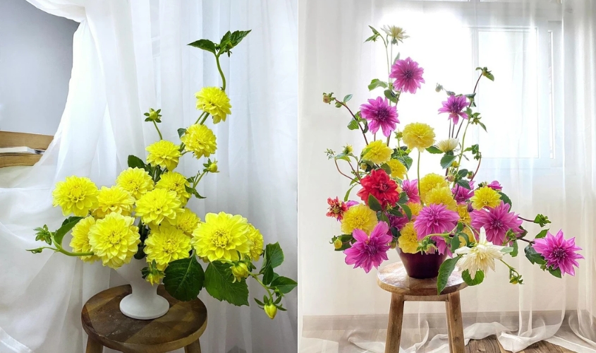 Cách cắm hoa thược dược trong bình cổ thấp