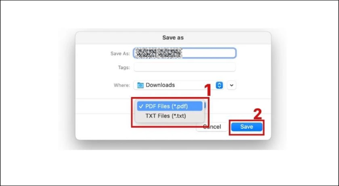 Chọn định dạng PDF File (.pdf) hoặc TXT File (.txt), nhấn Save
