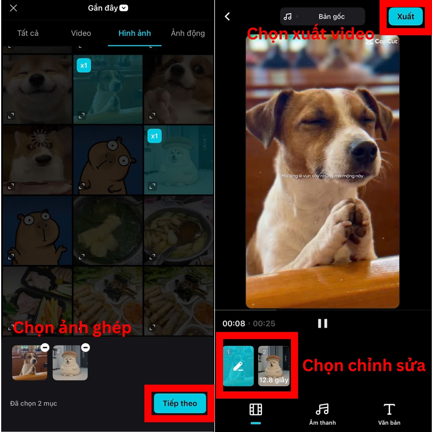 Chọn ảnh bạn muốn ghép thành video ghép ảnh trên iPhone