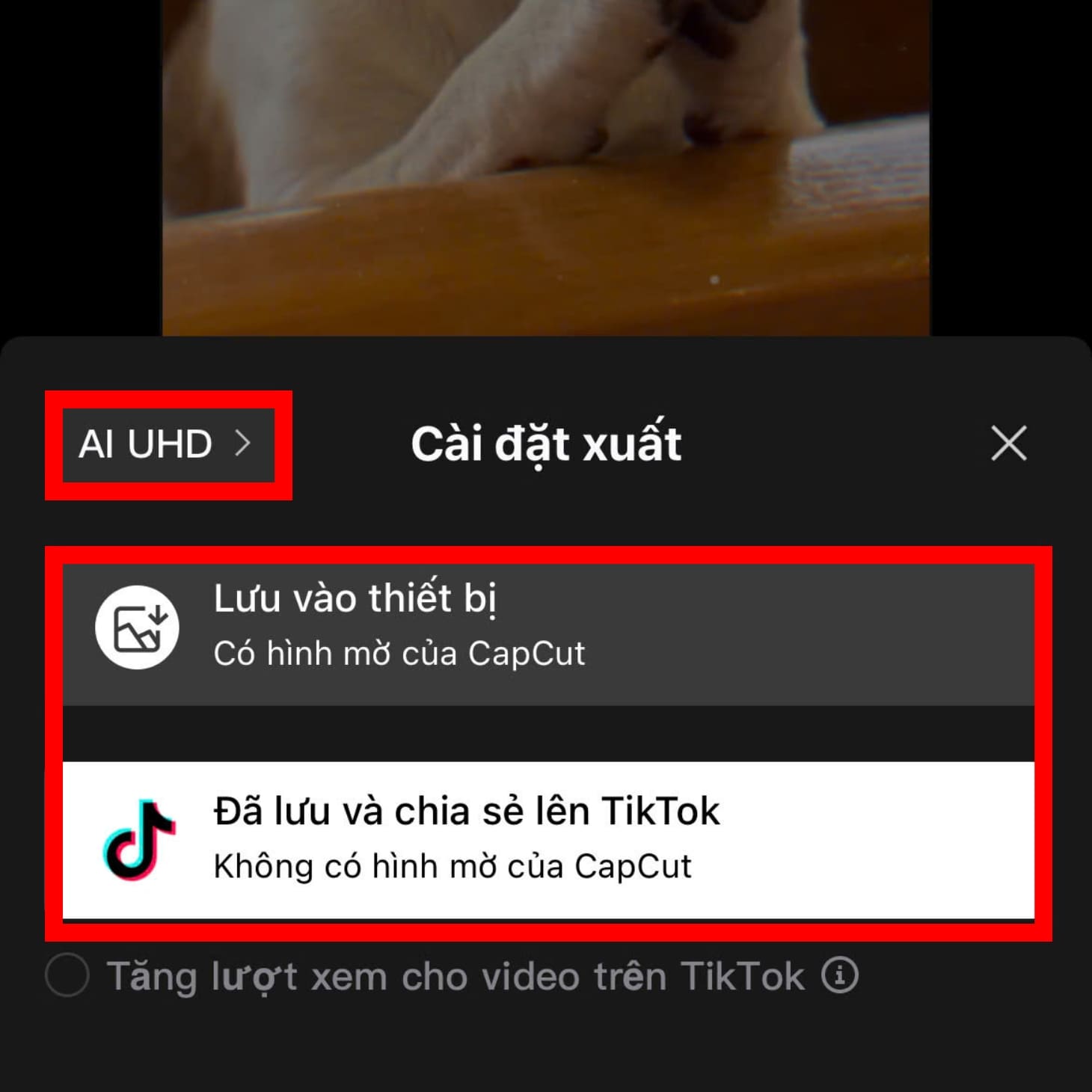 Xuất video ghép ảnh trên iPhone bằng Cap Cut