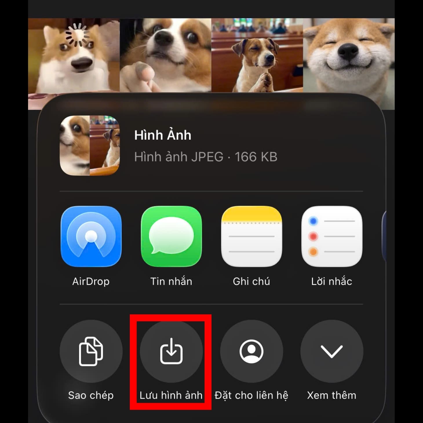 Lưu hình ảnh vừa ghép trên iPhone