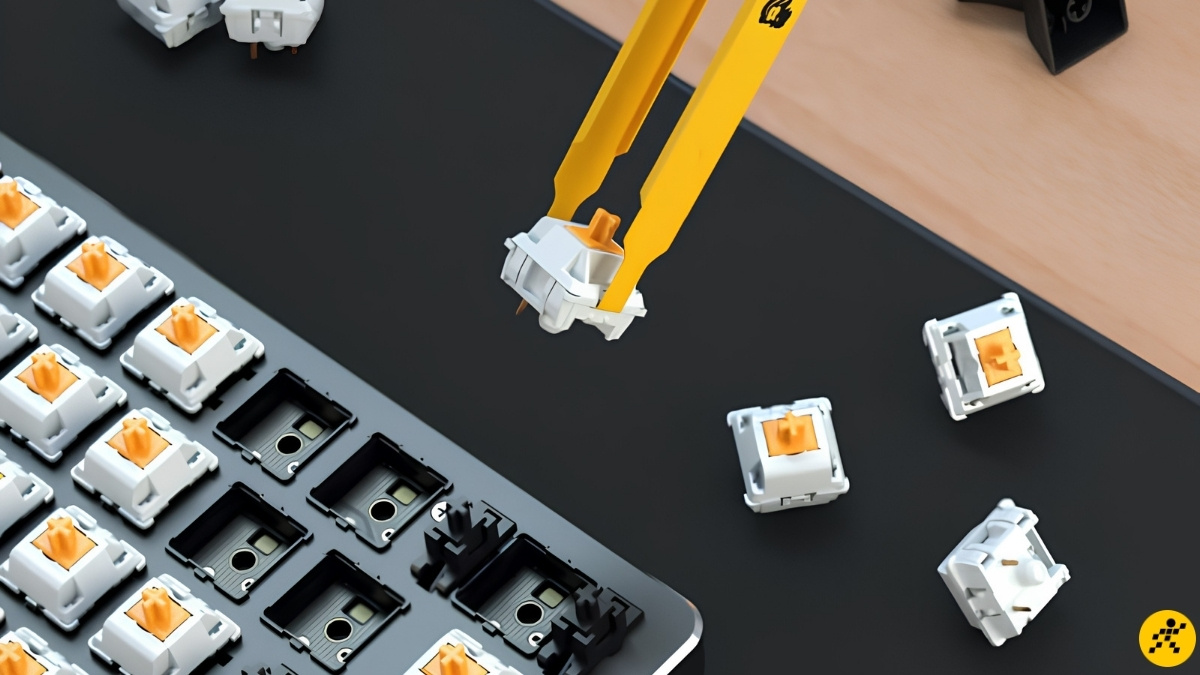 Với phím hot-swap, bạn có thể dùng switch puller tháo rời switch để quét sạch mạch PCB Với phím hot-swap, bạn có thể dùng switch puller tháo rời switch để quét sạch mạch PCB