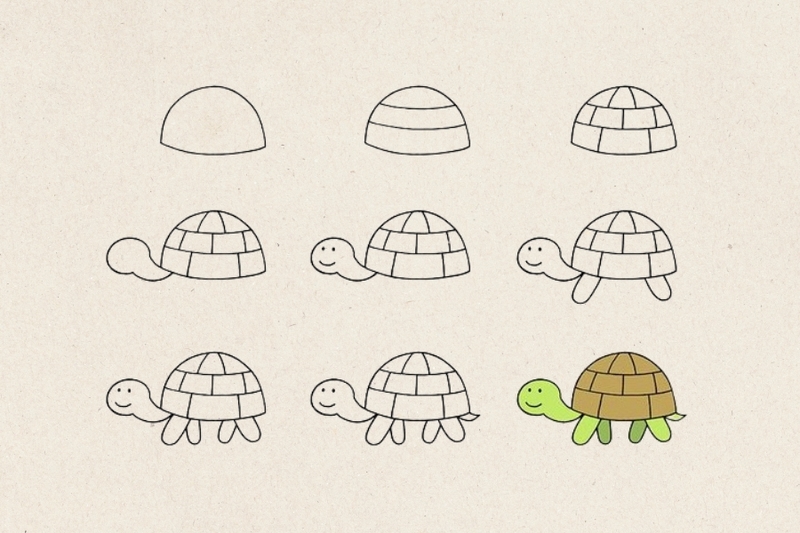 Vẽ con rùa đơn giản