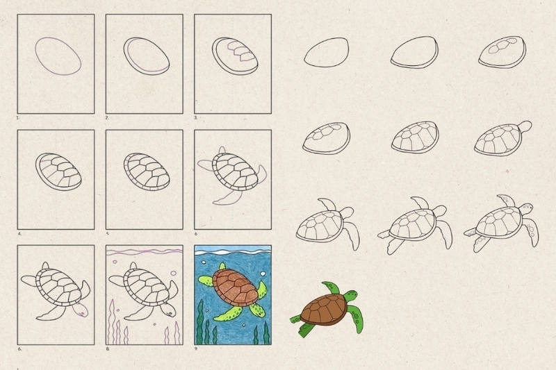 Cách vẽ con rùa đang bơi đơn giản