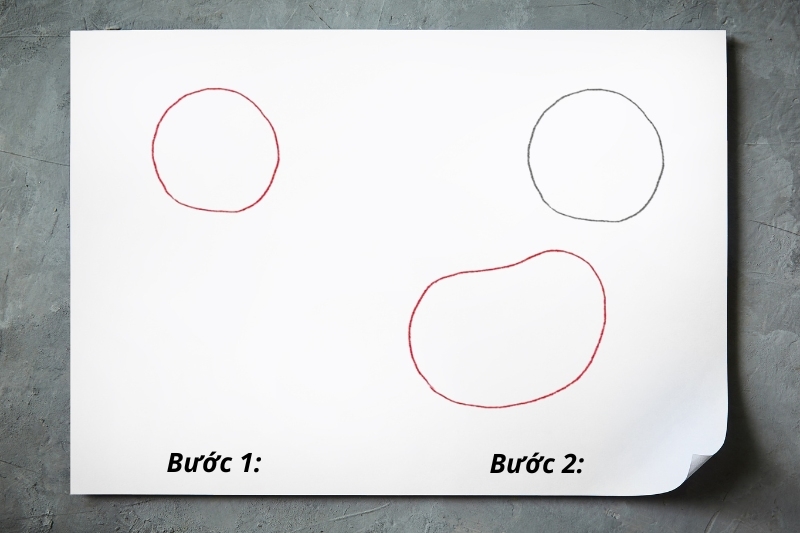 Bước 1: Vẽ phần đầu và thân