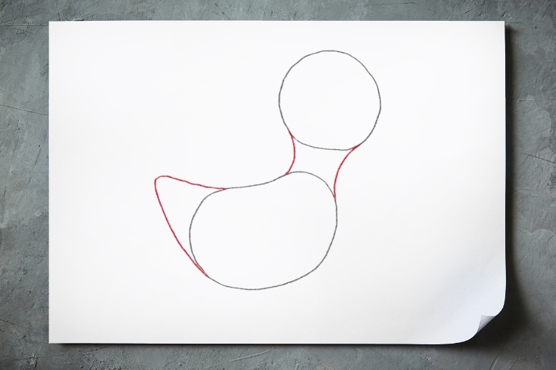 Bước 1: Vẽ phần đầu và thân