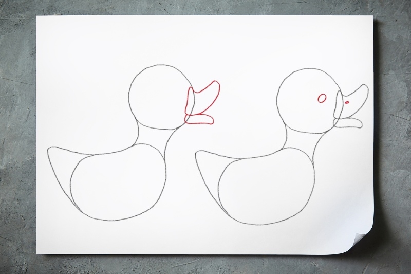 Bước 1: Vẽ phần đầu và thân