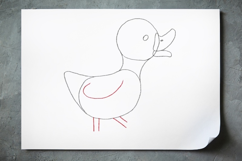 Bước 1: Vẽ phần đầu và thân