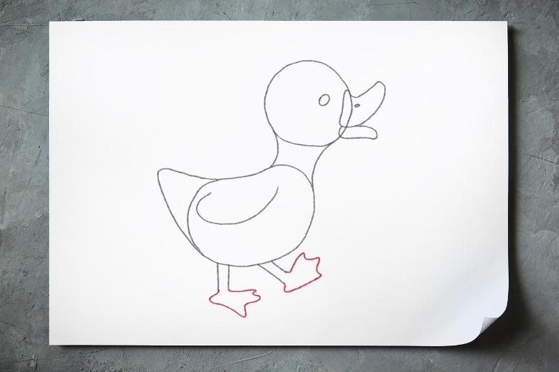 Bước 1: Vẽ phần đầu và thân