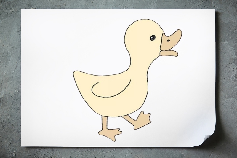 Bước 1: Vẽ phần đầu và thân