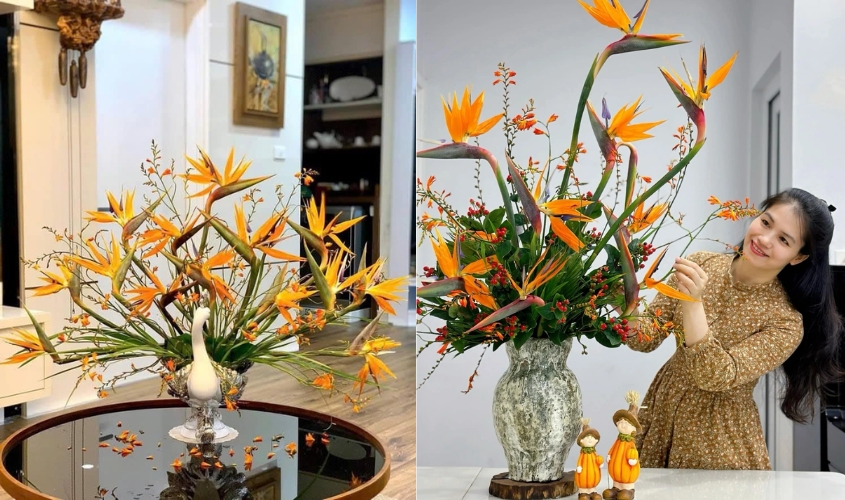 Cách cắm hoa thiên điểu trong bình cổ cao