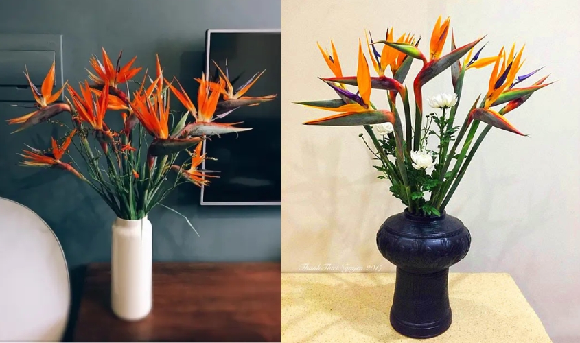 Cách cắm hoa thiên điểu để bàn thờ