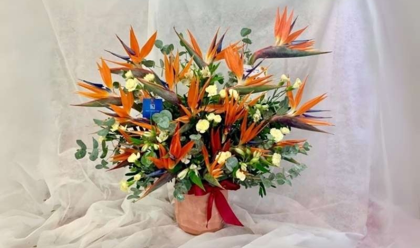 Cách cắm hoa thiên điểu mix với các loại hoa khác