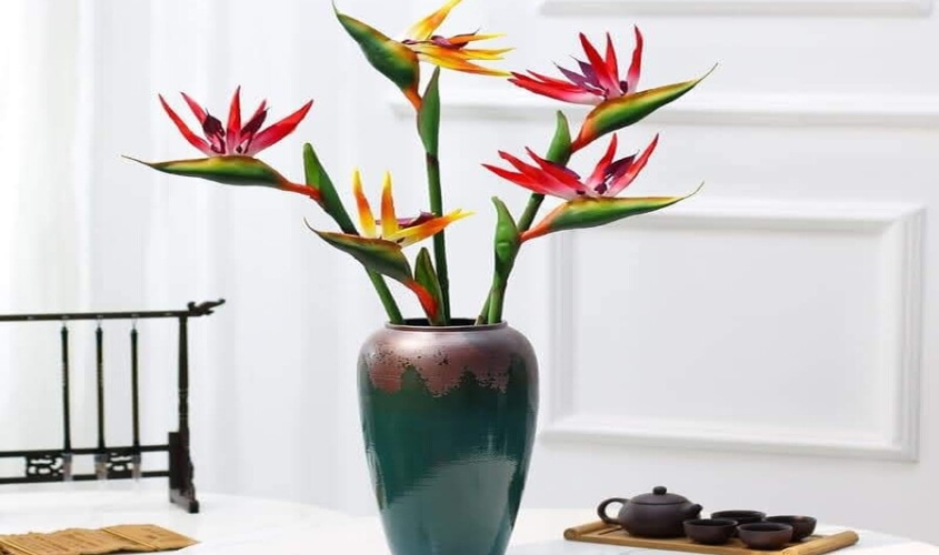 Cách cắm hoa thiên điểu trong bình cổ thấp