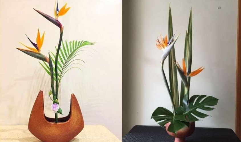 Cách cắm hoa thiên điểu theo kiểu bộ đôi