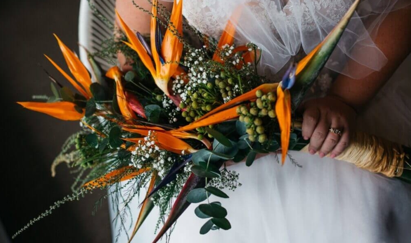 Mẫu hoa cưới với hoa thiên điểu