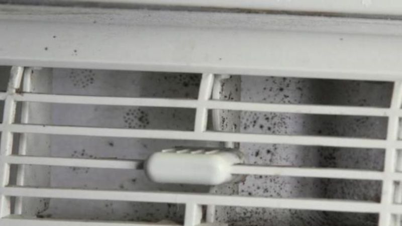 Nấm mốc có thể làm tăng nguy cơ mắc cảm lạnh