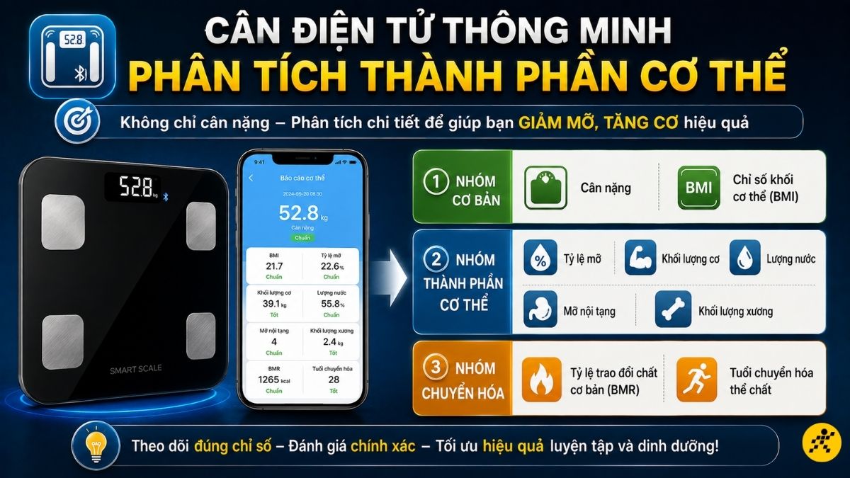 3 nhóm chỉ số đo được trên cân điện tử 3 nhóm chỉ số đo được trên cân điện tử