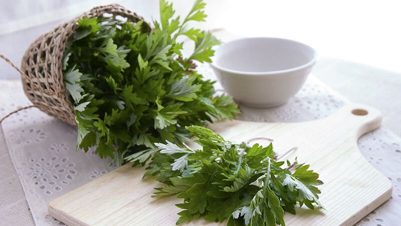 Sao ngải cứu với rượu có thể giúp điều trị bệnh