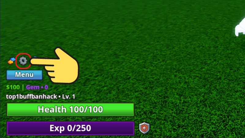 Kéo xuống cuối bảng Cài đặt tìm mục Redeem Code