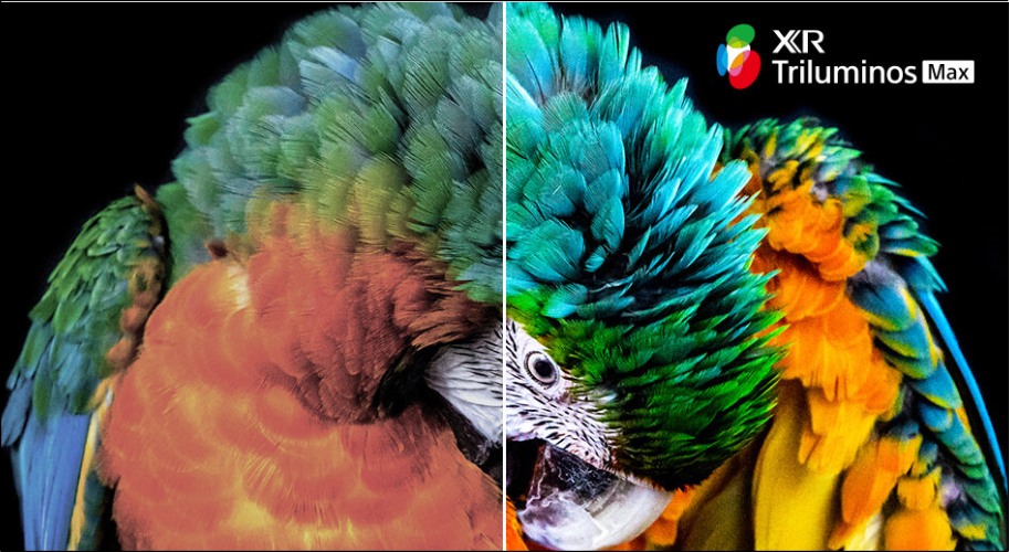 XR Triluminos Max giúp tái hiện chi tiết màu sắc tinh tế, làm cho hình ảnh sắc nét và giàu cảm xúc hơn