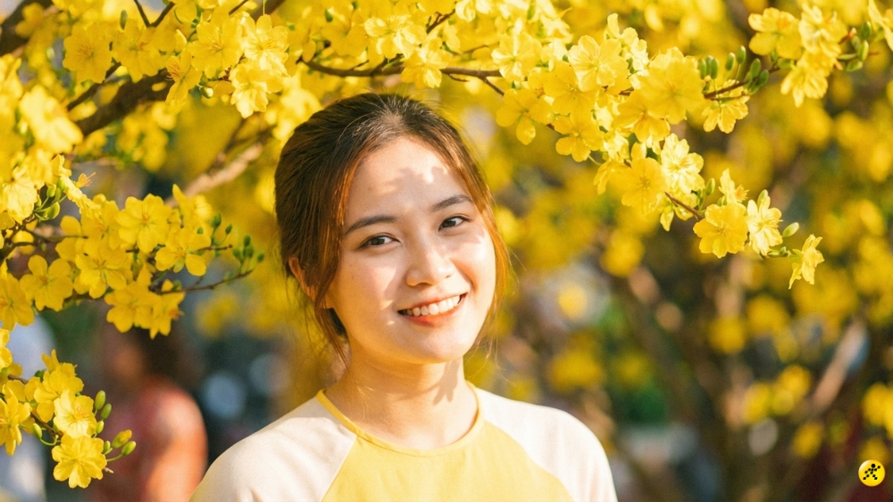 Hoa Mai, Hoa Đ&agrave;o & C&acirc;y Tết 