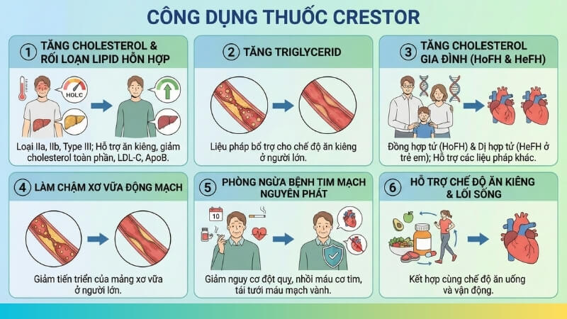 C&ocirc;ng dụng v&agrave; chỉ định điều trị của Crestor