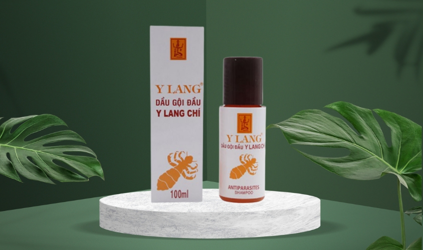 Dầu gội trị chấy Y Lang Chí với chiết xuất từ thiên nhiên