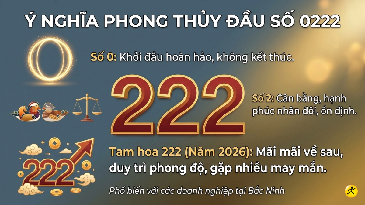 Ý nghĩa phong thủy của đầu số 0222