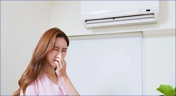 Sự kết hợp giữa bụi bẩn và độ ẩm tạo ra mùi ẩm mốc nồng nặc, gây cảm giác khó chịu