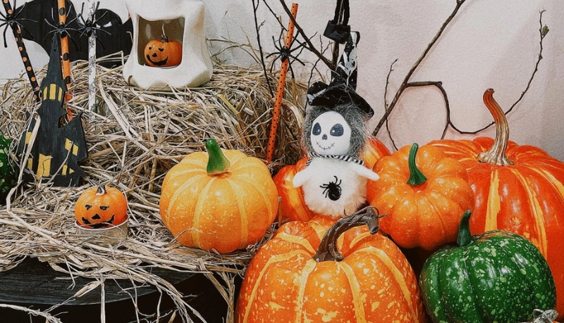 Đồ trang trí Halloween bằng bí ngô thật hoặc mô hình bí ngô Đồ trang trí Halloween bằng bí ngô thật hoặc mô hình bí ngô