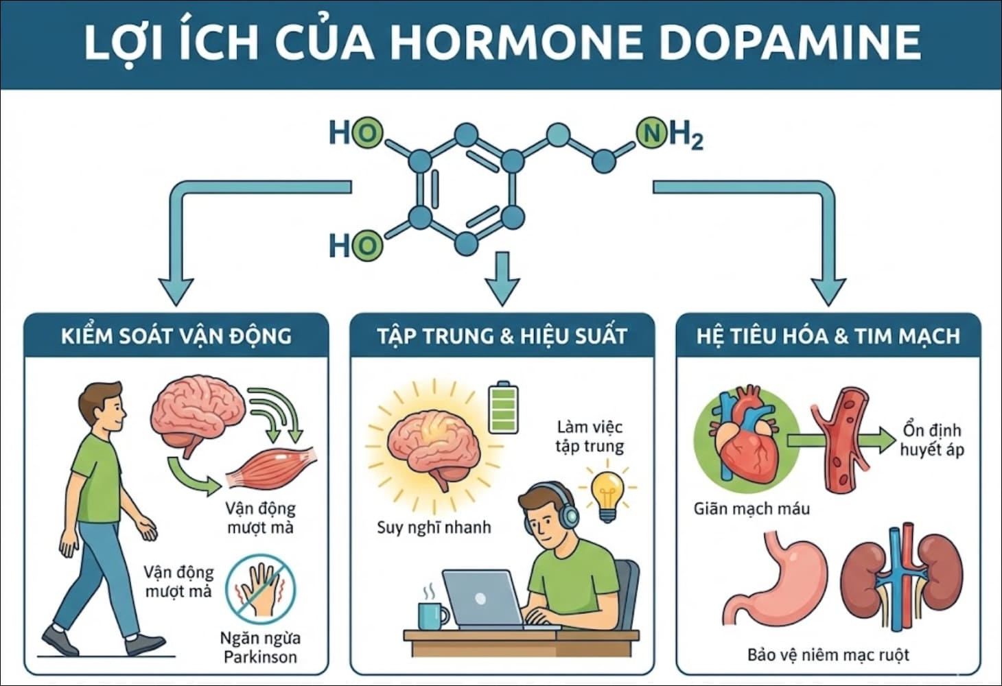 Hormone dopamine mang lại nhiều lợi ích cho tinh thần và cơ thể Hormone dopamine mang lại nhiều lợi ích cho tinh thần và cơ thể