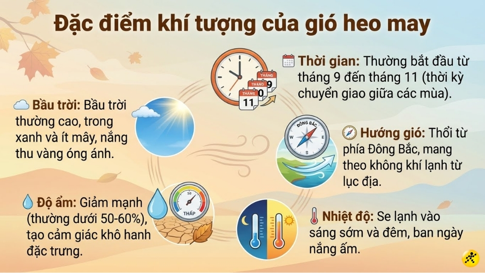 Đặc điểm kh&iacute; tượng của gi&oacute; heo may