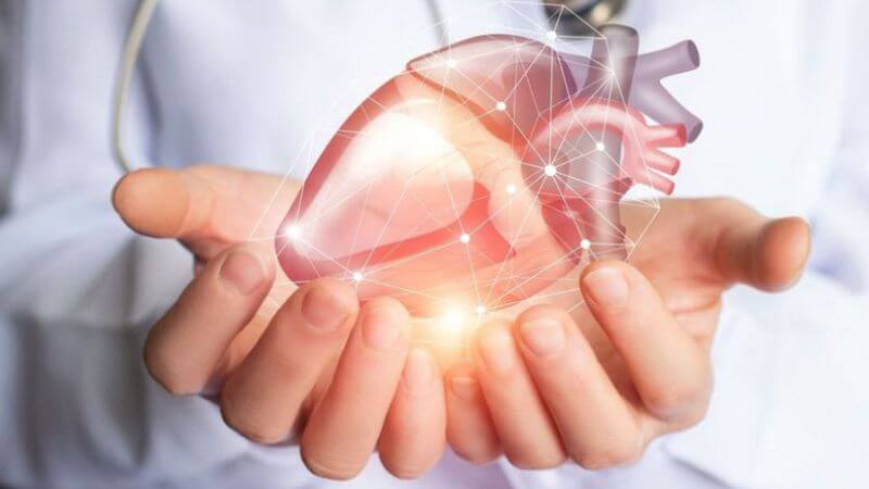 Hắc kỷ tử làm giảm sản xuất enzyme gây suy tim và làm giảm nguy cơ mắc bệnh tim mạch