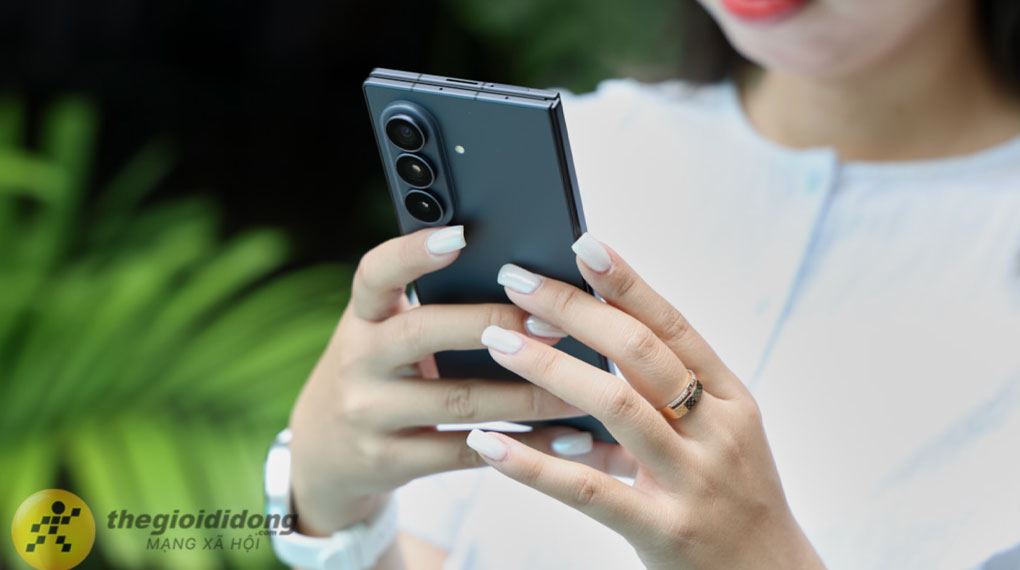 hệ sinh thái hệ sinh thái