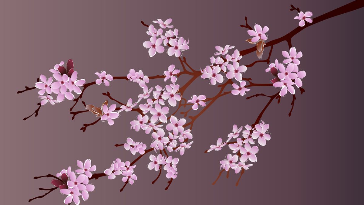 Hình nền hoa Đào ngày Tết 4k