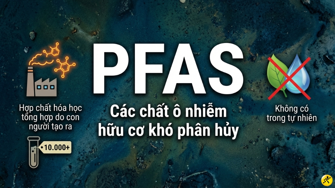 H&oacute;a chất vĩnh cửu (PFAS)