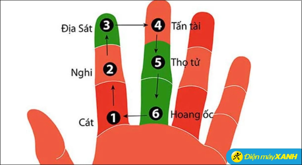 Hướng dẫn cách tính tuổi Hoang Ốc trên bàn tay