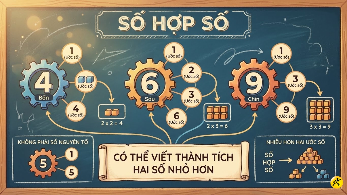 Hợp số l&agrave; một số tự nhi&ecirc;n lớn hơn 1, c&oacute; nhiều hơn hai ước số