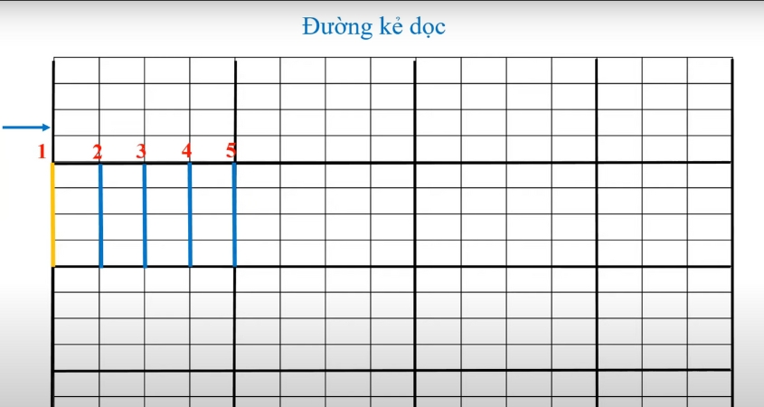 Số thứ tự đường kẻ dọc