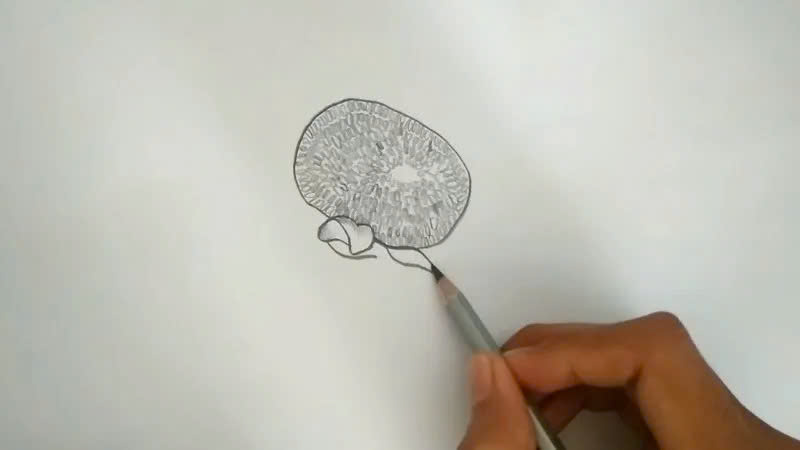 Vẽ hoa hướng dương chi tiết bằng bút chì Vẽ hoa hướng dương chi tiết bằng bút chì