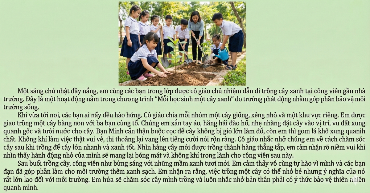 Bài văn mẫu kể lại hoạt động trồng cây xanh tại công viên Bài văn mẫu kể lại hoạt động trồng cây xanh tại công viên