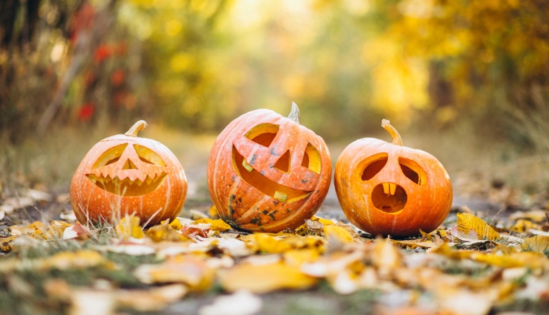 Lời chúc Halloween cho người yêu ngọt ngào Lời chúc Halloween cho người yêu ngọt ngào
