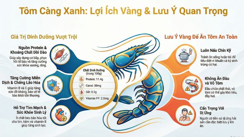 Tôm càng xanh chứa nhiều đạm, vitamin nhóm B Tôm càng xanh chứa nhiều đạm, vitamin nhóm B