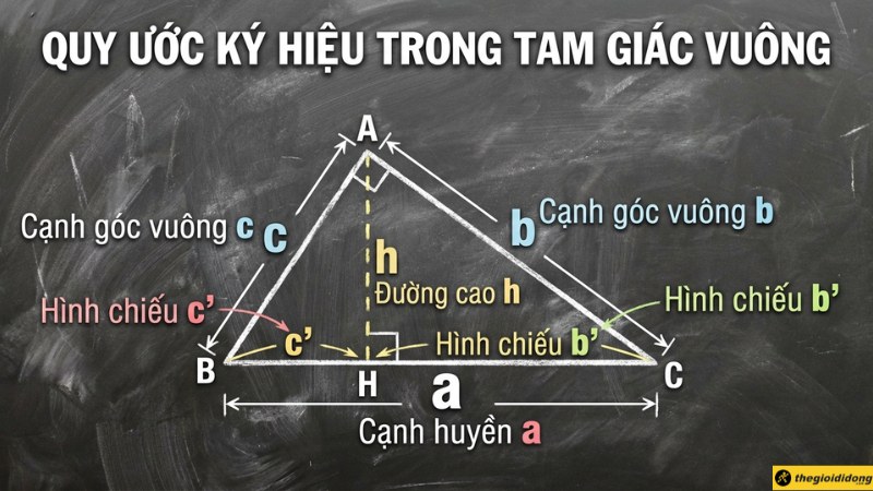 Quy ước c&aacute;c k&yacute; hiệu trong tam gi&aacute;c vu&ocirc;ng