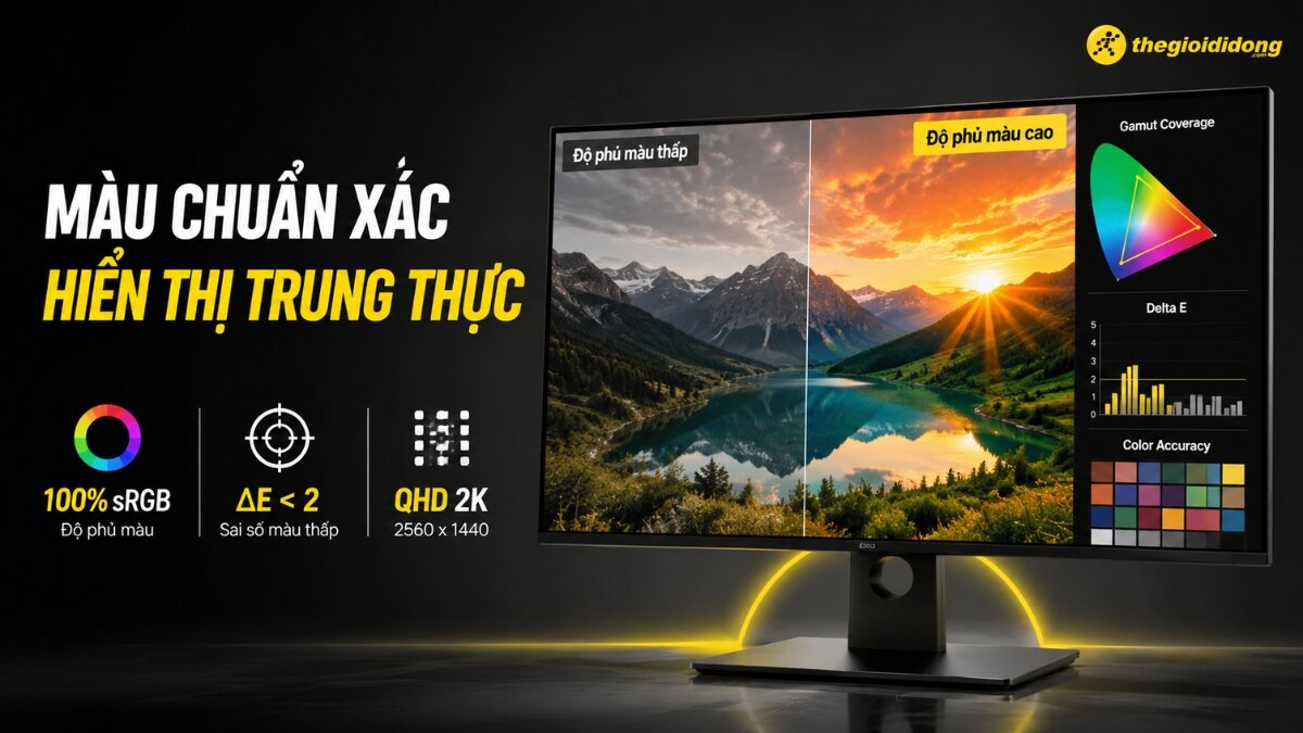 Đo độ phủ màu chuyên nghiệp trên màn hình thiết kế đồ họa 2K Đo độ phủ màu chuyên nghiệp trên màn hình thiết kế đồ họa 2K