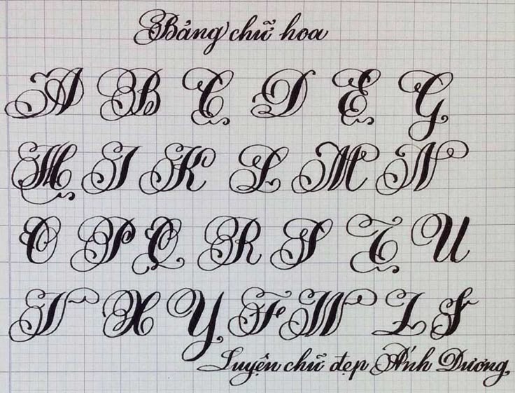 Mẫu chữ hoa sáng tạo 5 Mẫu chữ hoa sáng tạo 5